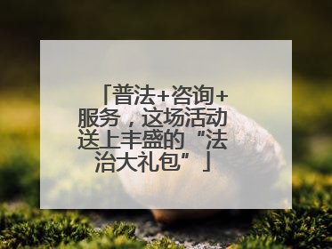 普法+咨询+服务，这场活动送上丰盛的“法治大礼包”